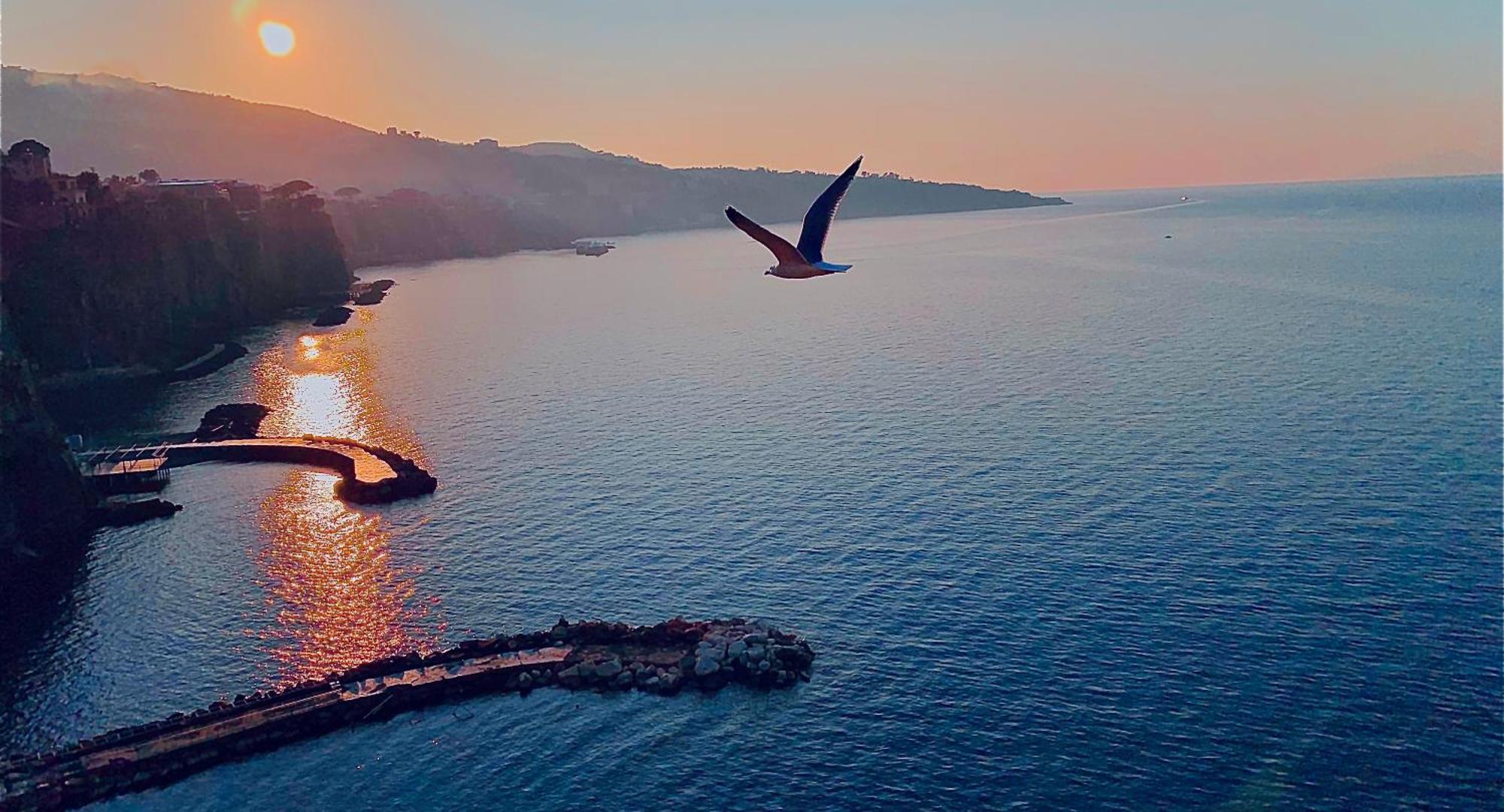 Treehouse Sorrento Apartment Dış mekan fotoğraf