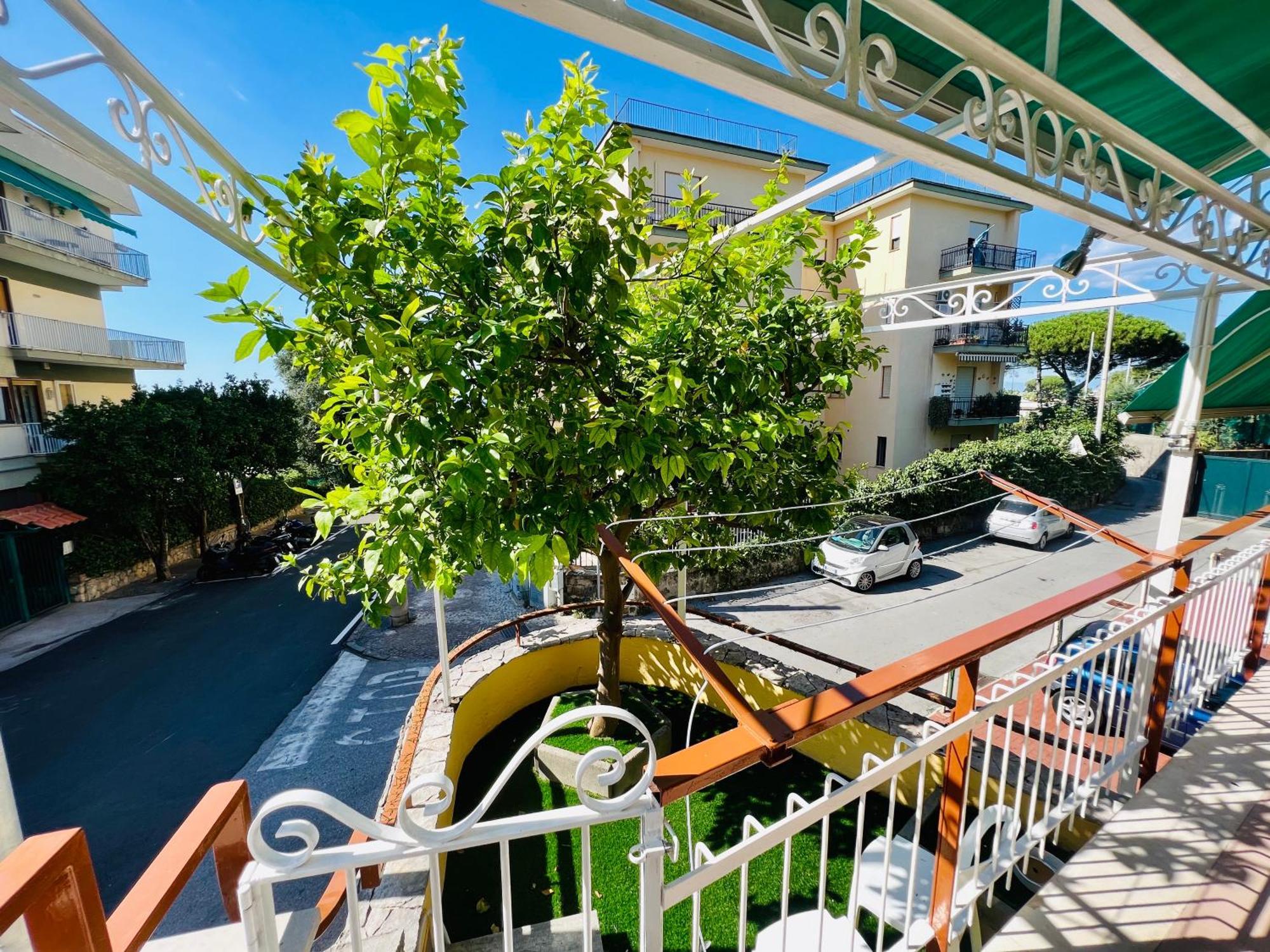 Treehouse Sorrento Apartment Dış mekan fotoğraf